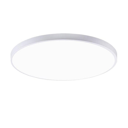 Skorter | Ceiling Lights - Modern Ceiling Lamps
