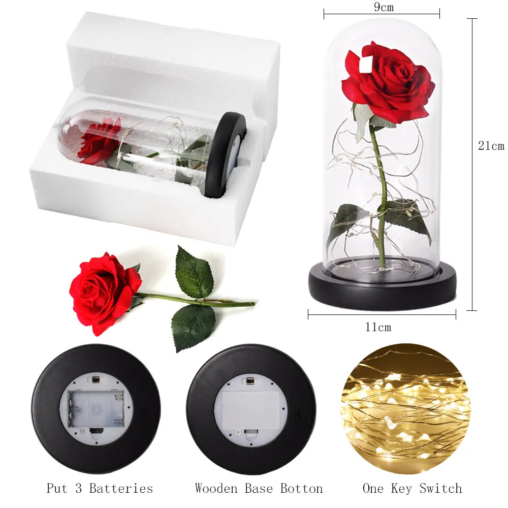 Skorter | Eternal Rose in Glass Dome | Handpicked, LED Lit & Ideal for Romantic Gifts and Home Decor