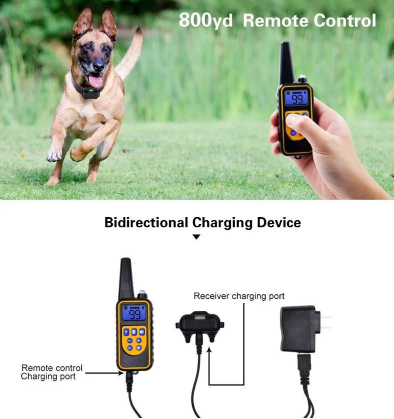 Skorter | Electric Dog Training E-Collar – Safe, Effective Remote Control