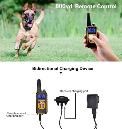 Skorter | Electric Dog Training E-Collar – Safe, Effective Remote Control