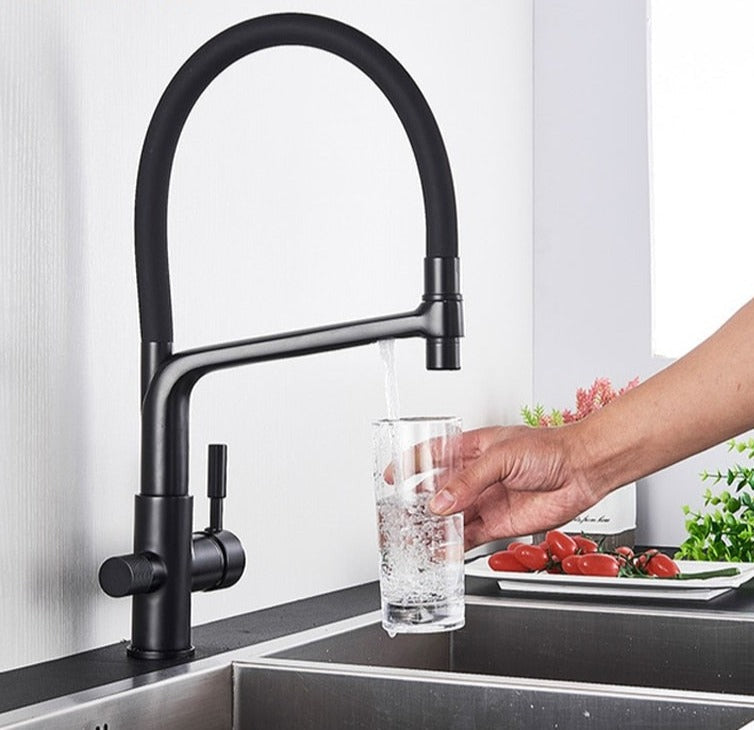 Skorter | Double Outlet Drinking Water Faucet Filtered Kitchen Faucets
