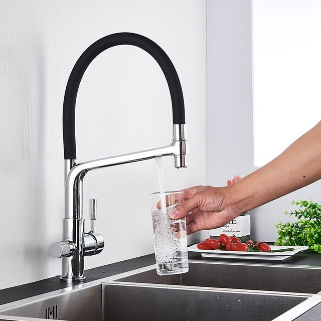 Skorter | Double Outlet Drinking Water Faucet Filtered Kitchen Faucets