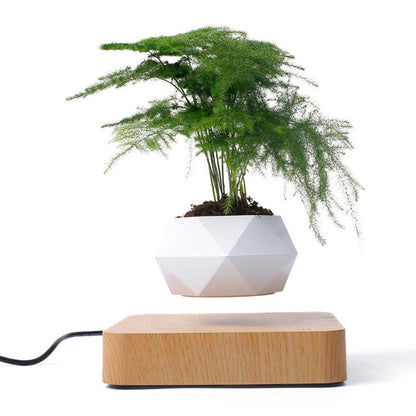 Skorter | Air Planter