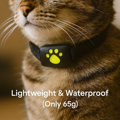 Skorter | #1 Find  GPS Cat Tracker with Real-Time Location, Waterproof Design, and Activity Monitoring for Pet Safety and Tracking