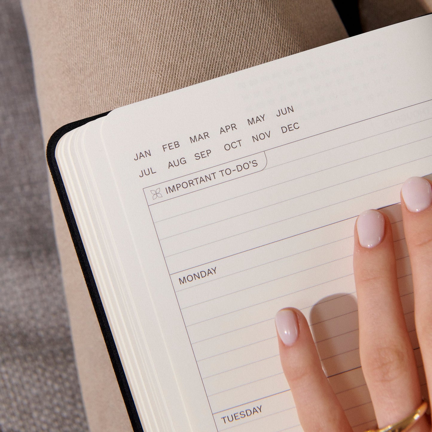 Skorter | Alice - Infinity Planner