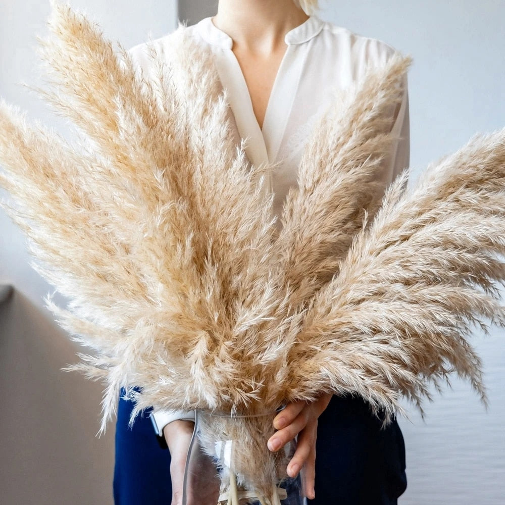 Skorter | FeatherFawn - Dried Pampas Flowers