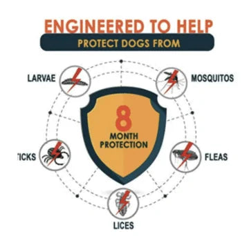 Skorter | Anti Flea Collar