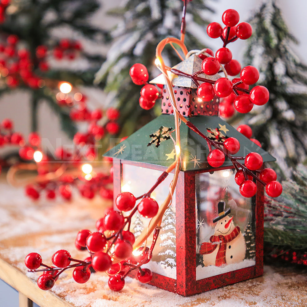 Skorter | LED Red Berry Wine Light