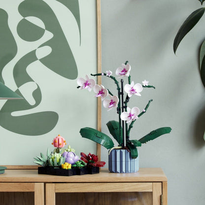 Skorter | Botanical Collection Decor