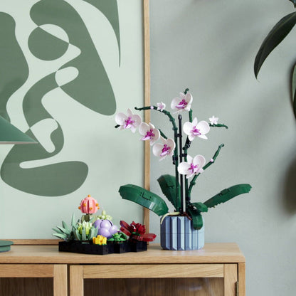 Skorter | Botanical Collection Decor