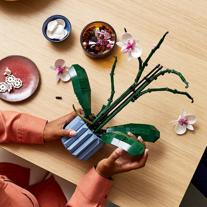 Skorter | Botanical Collection Decor