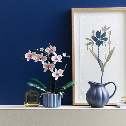 Skorter | Botanical Collection Decor