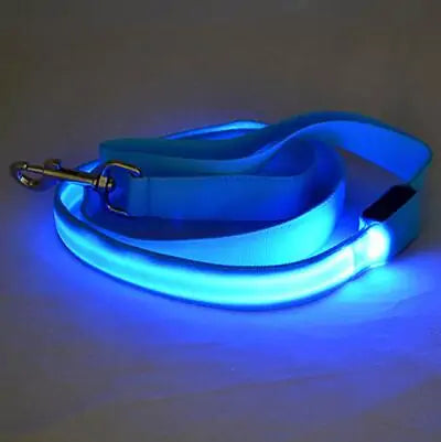 Skorter | Leash for dogs glow in the dark
