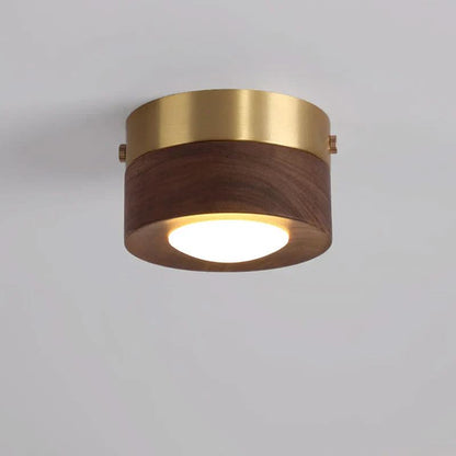 Skorter | Versatile LED lighting with walnut finish