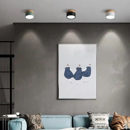Skorter | Modern dimmable LED ceiling light in Nordic design