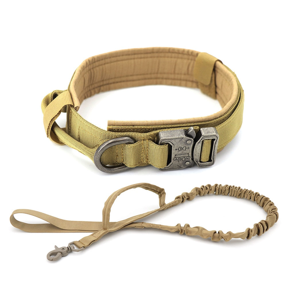 Skorter | Dog collar