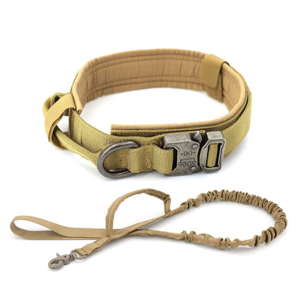 Skorter | Dog collar