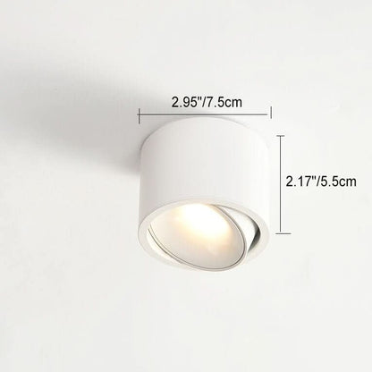 Skorter | Minimalistic LED Ceiling Light with Adjustable Spotlight