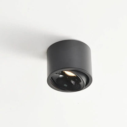 Skorter | Minimalistic LED Ceiling Light with Adjustable Spotlight