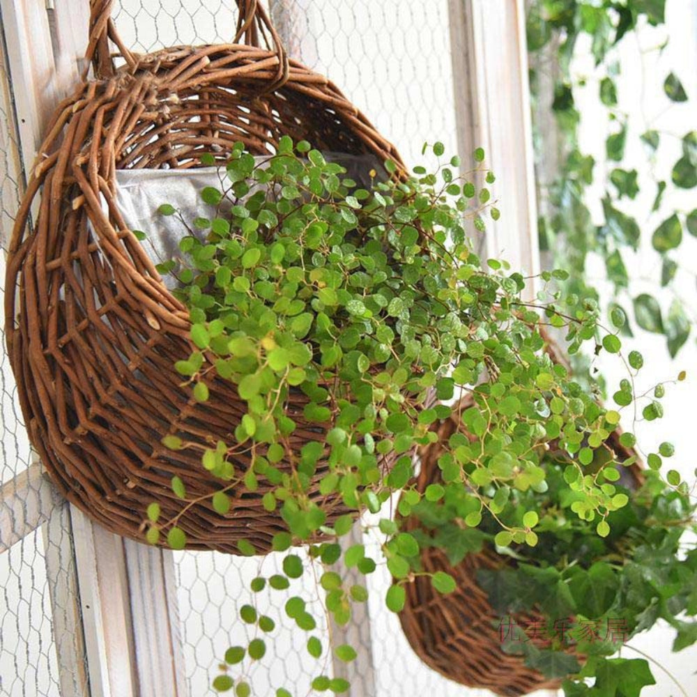 Skorter | Maison Handwoven Hanging Basket