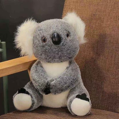 Skorter | Australian Koala Plush Toy