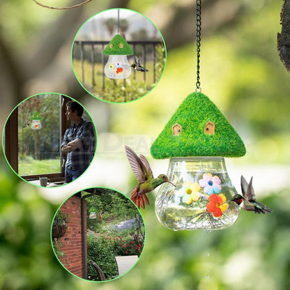 Skorter | Bumblebird Feed