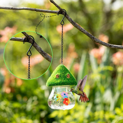 Skorter | Bumblebird Feed