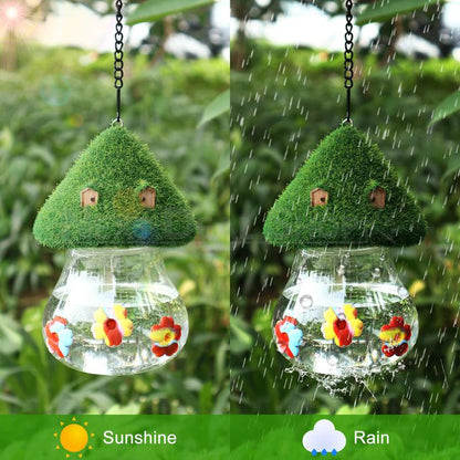 Skorter | Bumblebird Feed