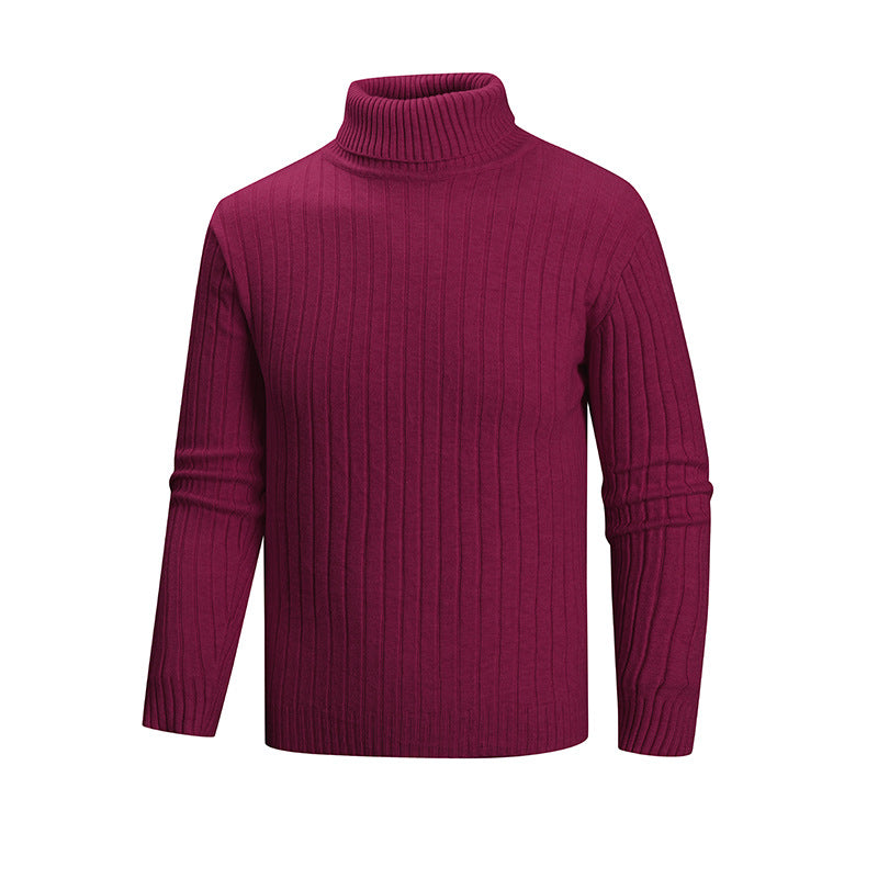 Men's elegant sweater with high collar and fine ribbed structure Skorter