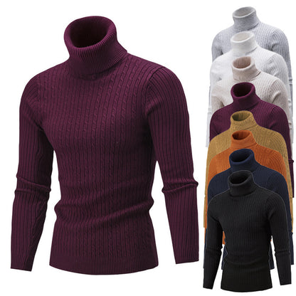 Men's turtleneck sweater in classic rib pattern Skorter