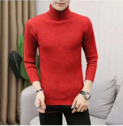 Men's Stand Collar Sweater made of Ribbed Knit Skorter