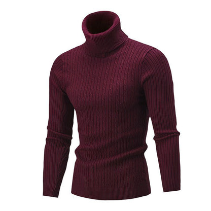 Men's Elegant Knit Sweater with Stand-Up Collar and Fine Cable Knit Pattern Skorter