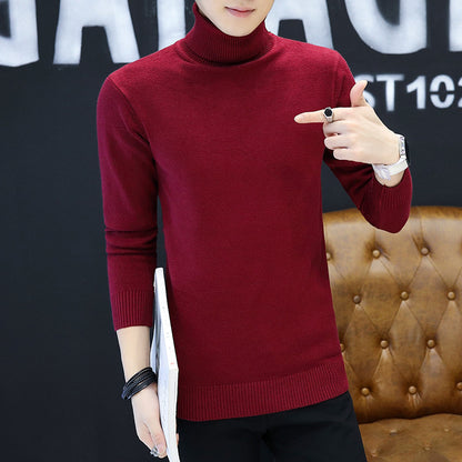 Men's stylish turtleneck sweater with fine structure Skorter