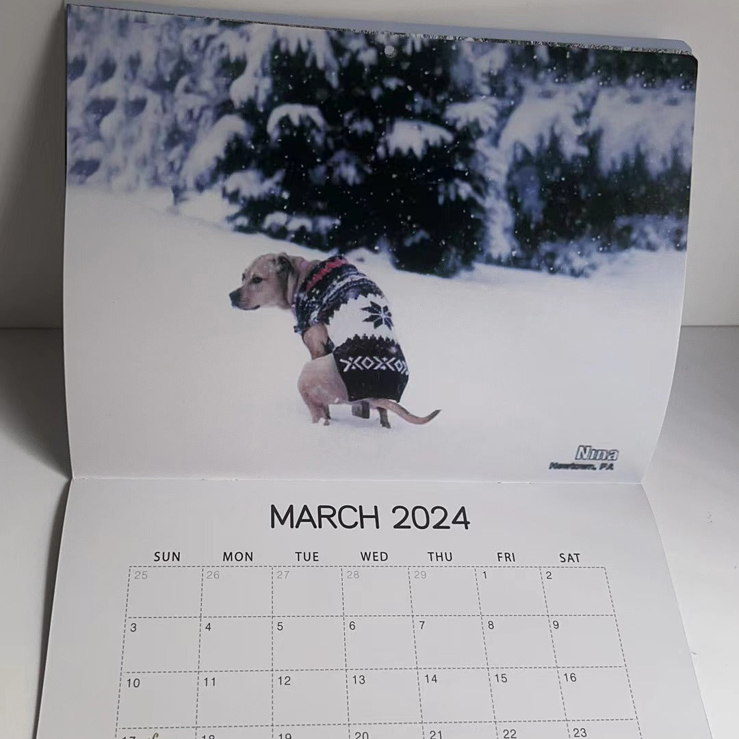 skorter | 2024 Funniest Calendar-Dogs Pooping In Beautiful Places | "Artistic Expression" Furry Friends