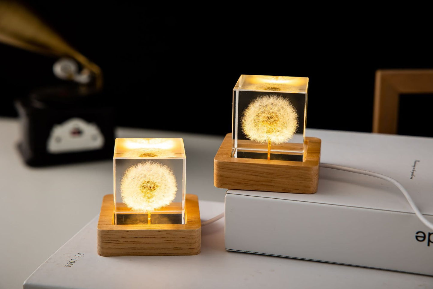 Skorter | Dandelion Glowing Night Light Crystal Ball Eternal Flower Gift Tree Birthday Gift for Girl