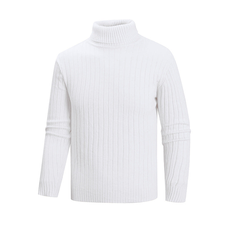 Men's elegant sweater with high collar and fine ribbed structure Skorter