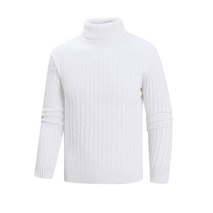 Men's elegant sweater with high collar and fine ribbed structure Skorter