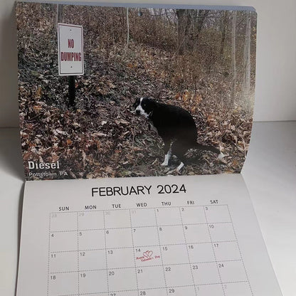 skorter | 2024 Funniest Calendar-Dogs Pooping In Beautiful Places | "Artistic Expression" Furry Friends