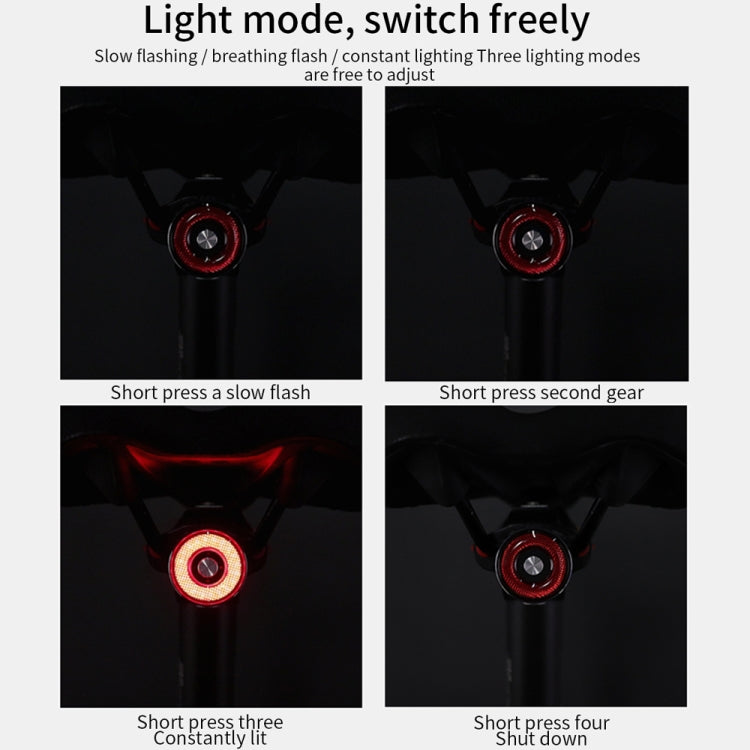 Skorter | Antusi Q5 Bike Tail Light Automatic Brake Induction Lights