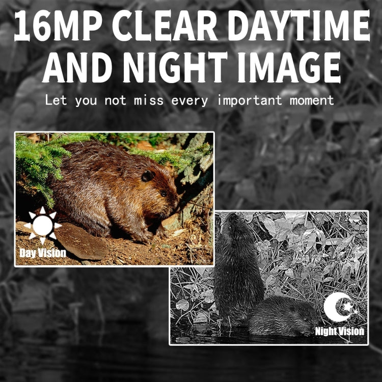 Skorter | PR300 Outdoor Night Vision Hunting Tracking Camera 12MP Motion Activated