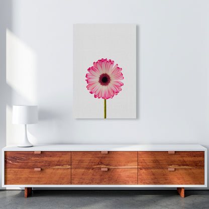 Skorter | Daisy Still Life Print By Orara Studio, Framed Botanical & Nature Art Print