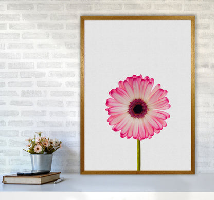 Skorter | Daisy Still Life Print By Orara Studio, Framed Botanical & Nature Art Print