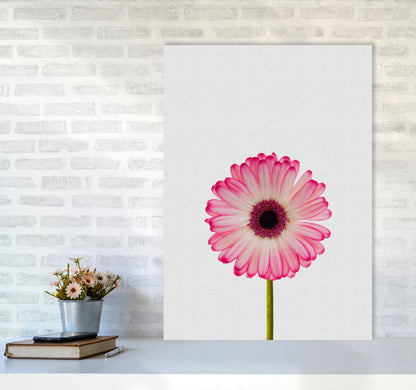 Skorter | Daisy Still Life Print By Orara Studio, Framed Botanical & Nature Art Print