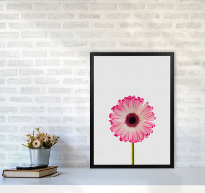 Skorter | Daisy Still Life Print By Orara Studio, Framed Botanical & Nature Art Print
