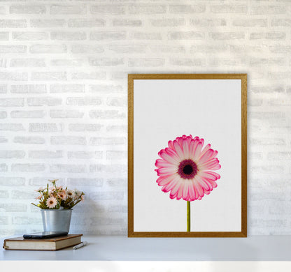 Skorter | Daisy Still Life Print By Orara Studio, Framed Botanical & Nature Art Print