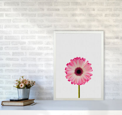 Skorter | Daisy Still Life Print By Orara Studio, Framed Botanical & Nature Art Print