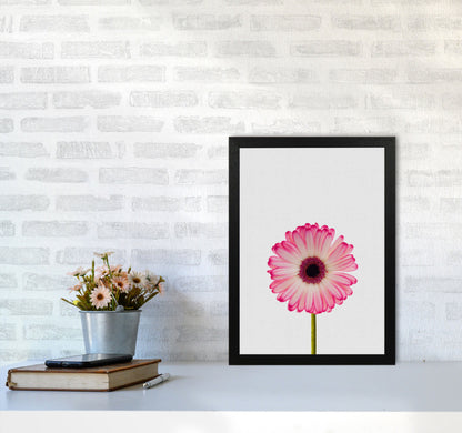 Skorter | Daisy Still Life Print By Orara Studio, Framed Botanical & Nature Art Print