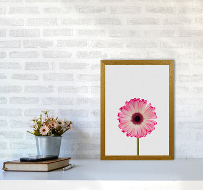 Skorter | Daisy Still Life Print By Orara Studio, Framed Botanical & Nature Art Print