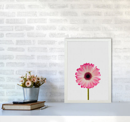 Skorter | Daisy Still Life Print By Orara Studio, Framed Botanical & Nature Art Print