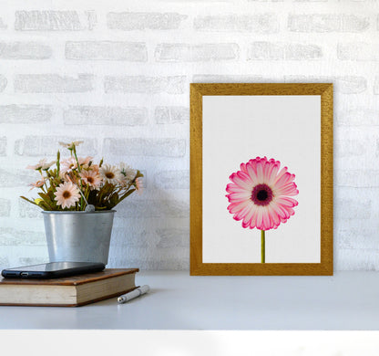 Skorter | Daisy Still Life Print By Orara Studio, Framed Botanical & Nature Art Print